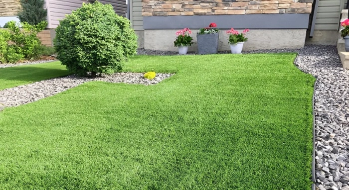 Image of a healthy and lush lawn