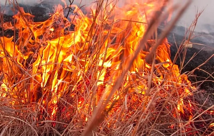 image of sticker burning