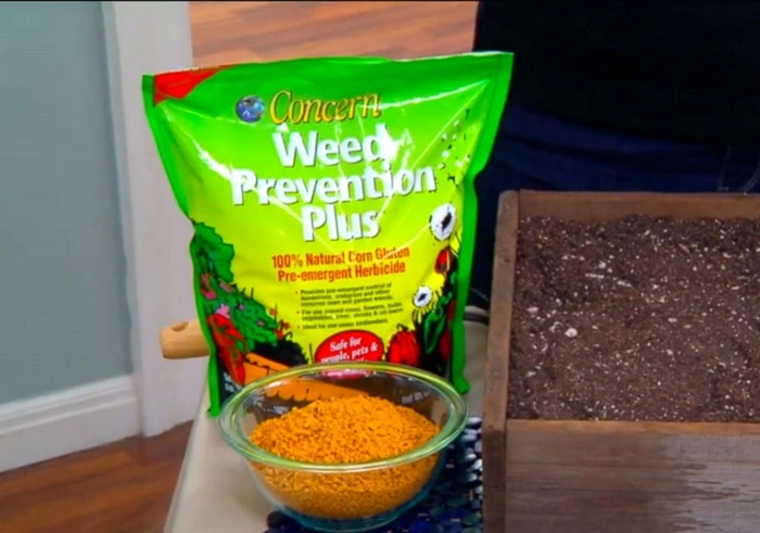 image of corn gluten meal chickweed killer