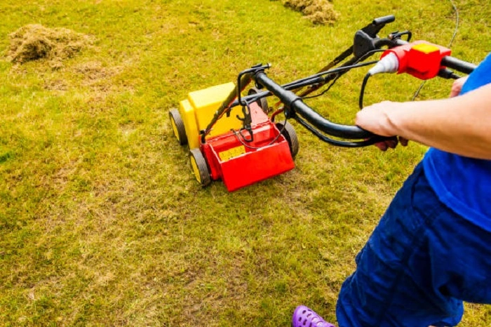 image of electric scarifier
