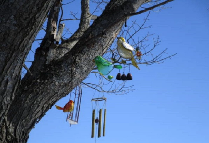 image of wind chimes in a lawn to keep the birds away from newly seeded area