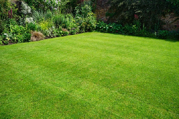 image of a mowed lawn