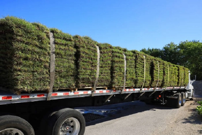 image of truck carrying sod