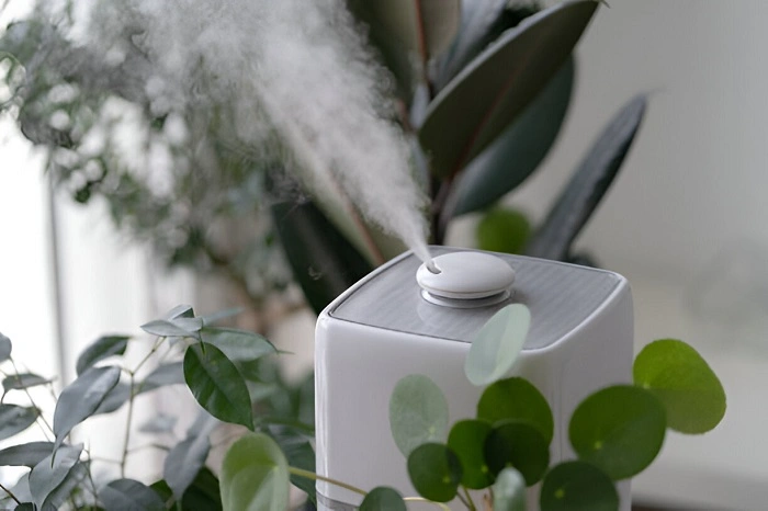 image of a humidifier