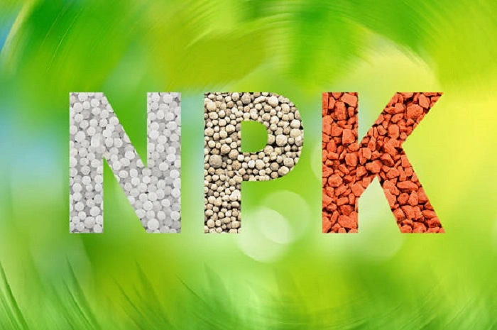 image of key ingredients of triple 19 fertilizer