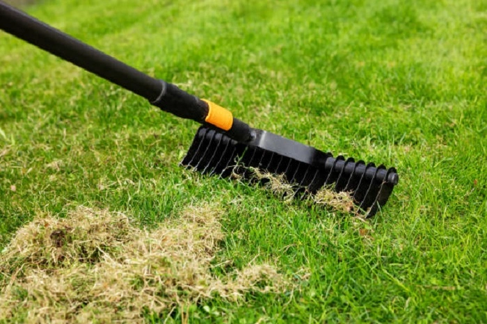 image of manual scarifier