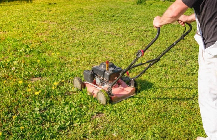 image of mowing a lawn to get rid of chickweed