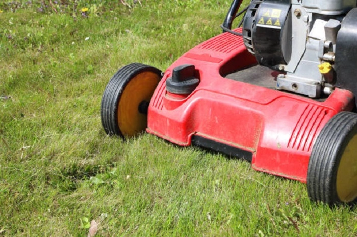 image of a petrol scarifier