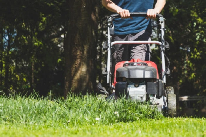 image of mowing grass with mulching mower