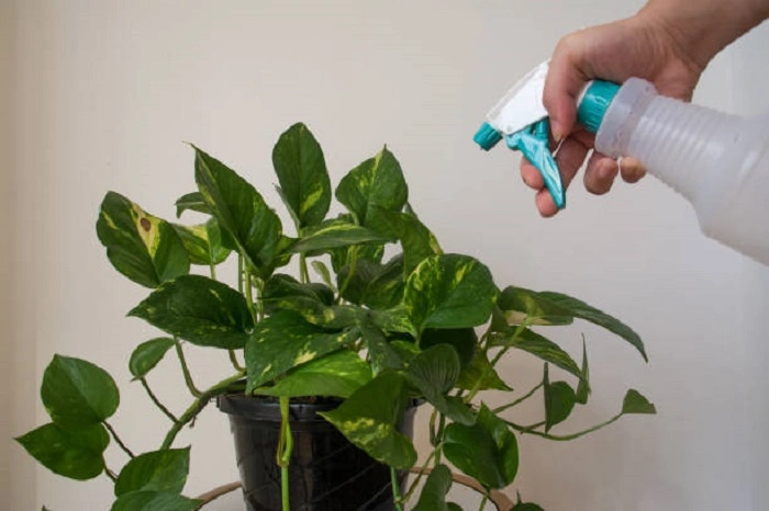 Provide Adequate Moisture