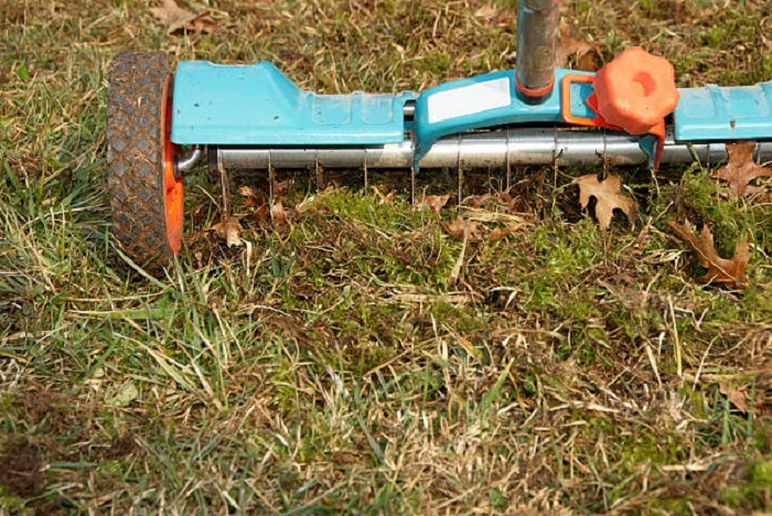 image of a slicing aerator