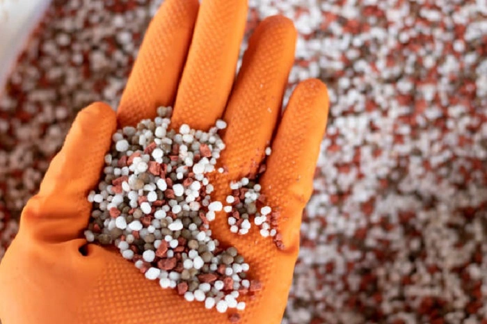 image of slow release or coated fertilizers