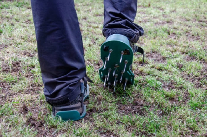 image of a spike aerator