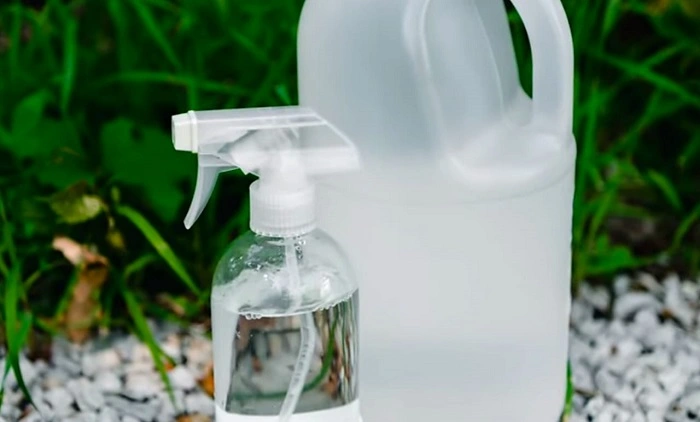image of vinegar in a spray bottle
