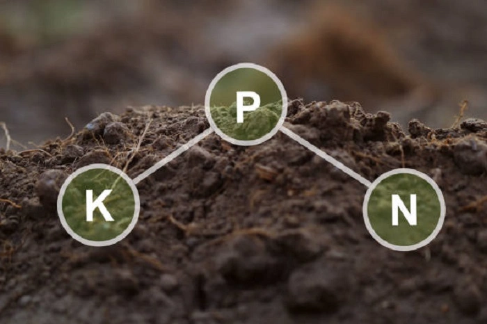 image of key ingredients that are present in triple 19 fertilizer
