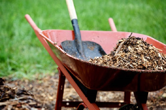 image of green mulch