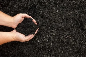 image of old decomposed mulch