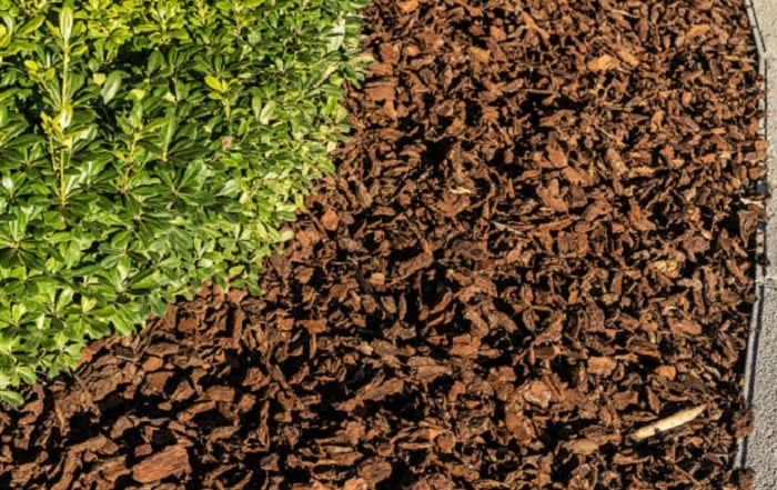 image of old organic mulch