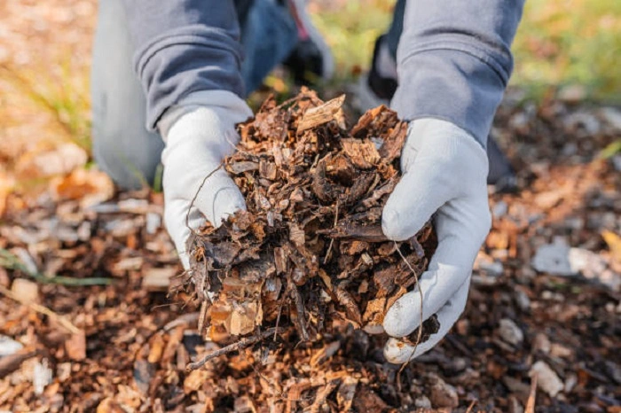 image of preparing a healthy compost pile