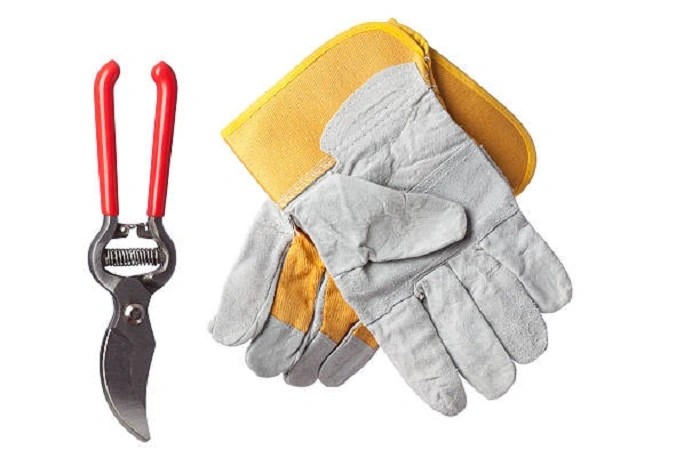 image of pruning shears and garden gloves