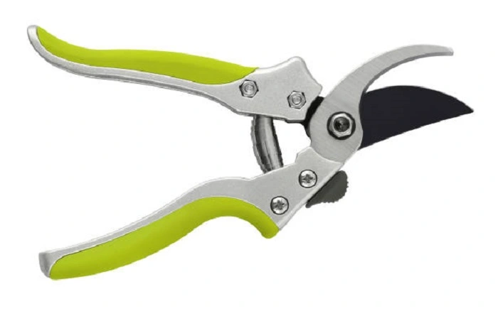 image of a sharp pruning shear