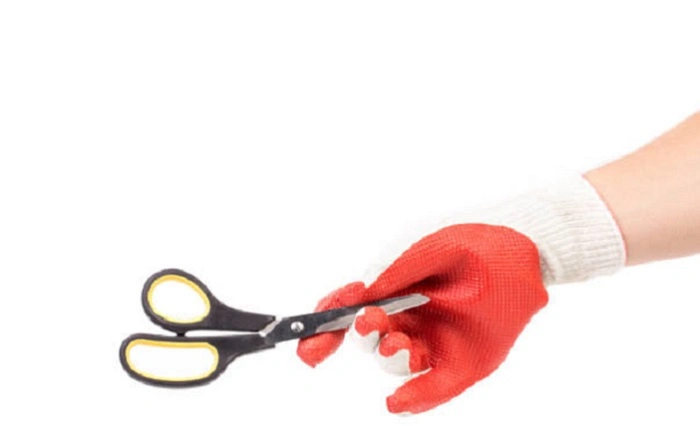 image of sharp scissors for pruning strawberries