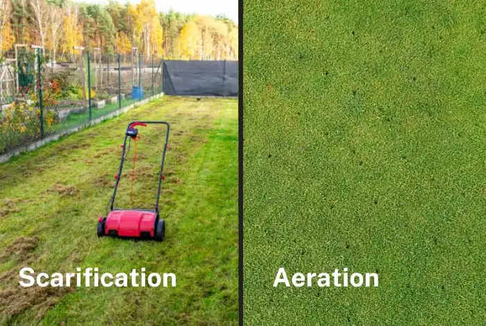 image of difference between scarification and aeration