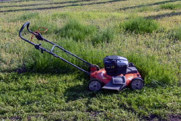 image of less effective grass cutting with a side discharge mower 