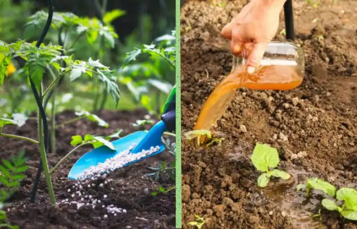image of granular vs liquid fertilizer