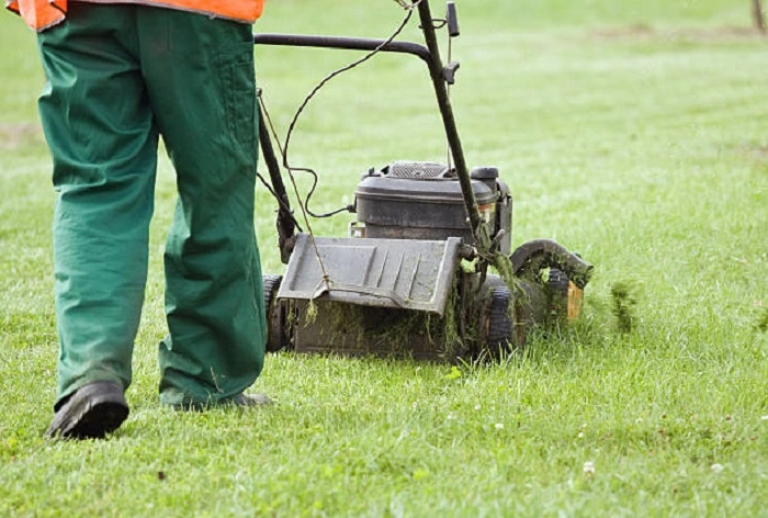 image of mowing grass efficiently with side discharge mower