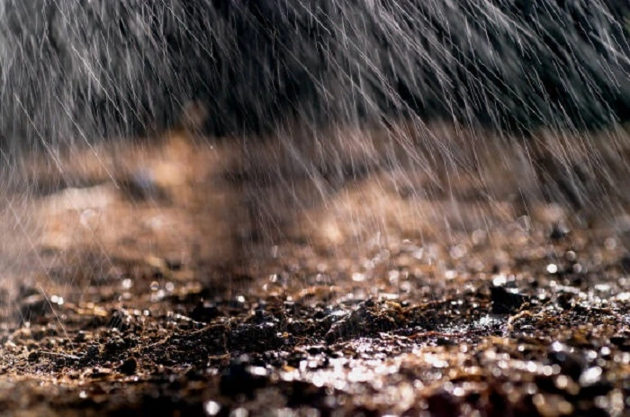 image of fertilized soil under rainfall