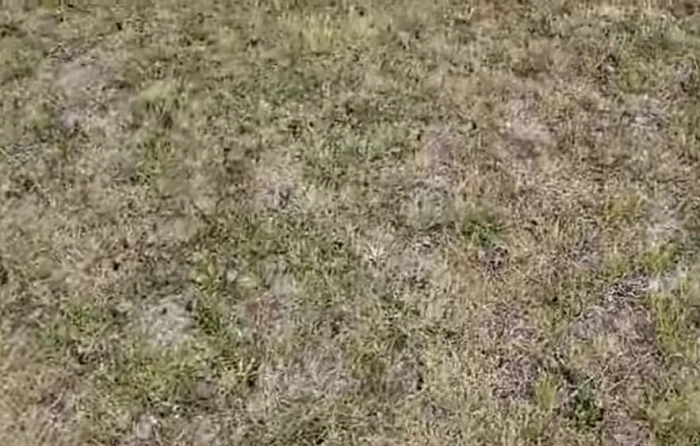 image of soil aeration