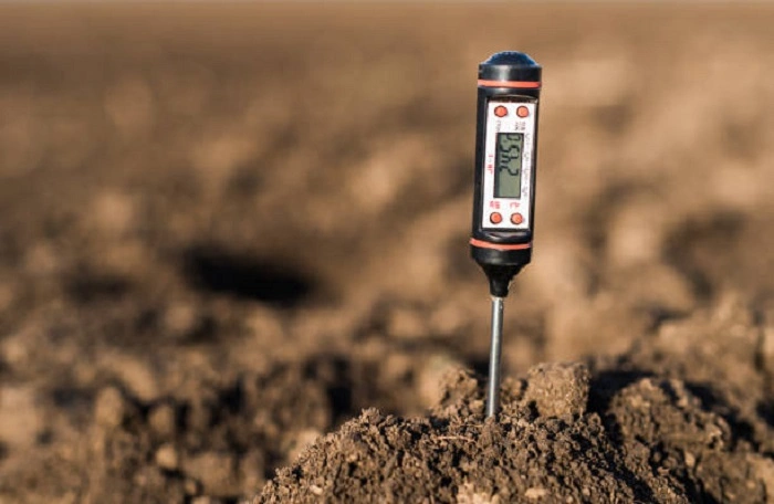 image of checking soil pH