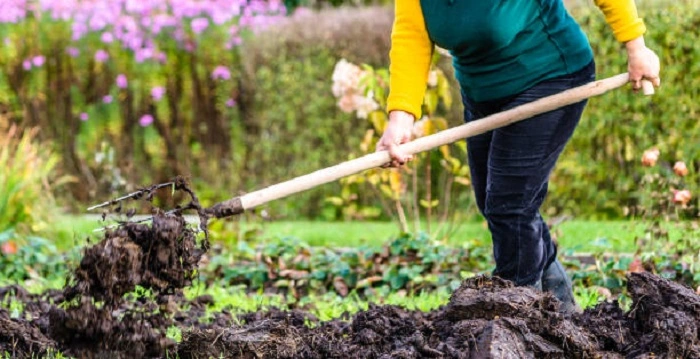 image of manure compost