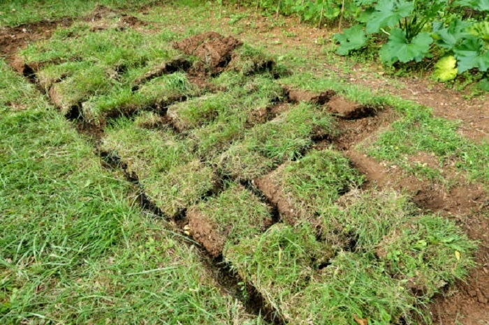 image of cutting lawn grass turf patches