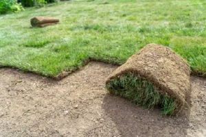 image of applying new sod