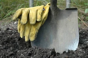 image of hard dirt soil in lawn
