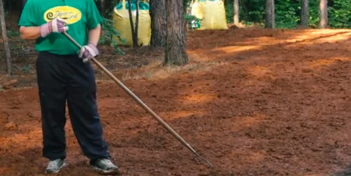 image of suitable soil for centipede grass