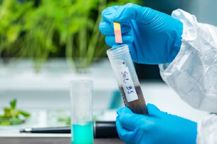image of testing soil pH