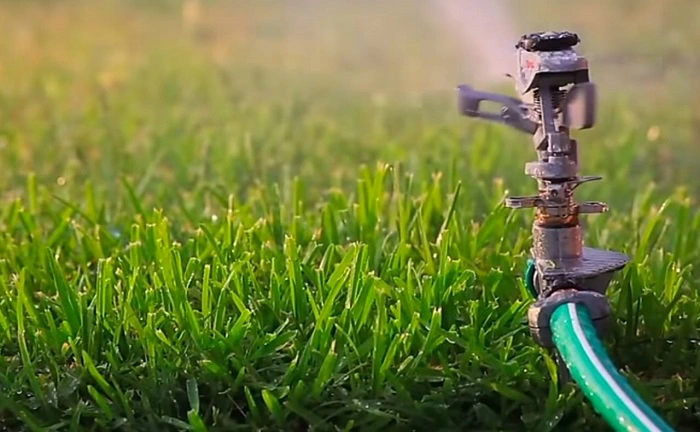 image of watering new sod