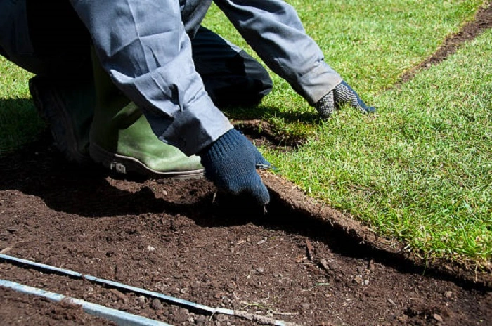 image of laying new sod