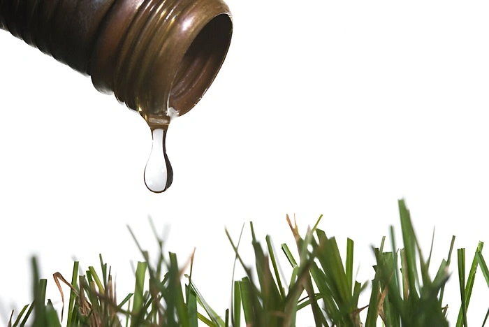 image of a pipe over grass