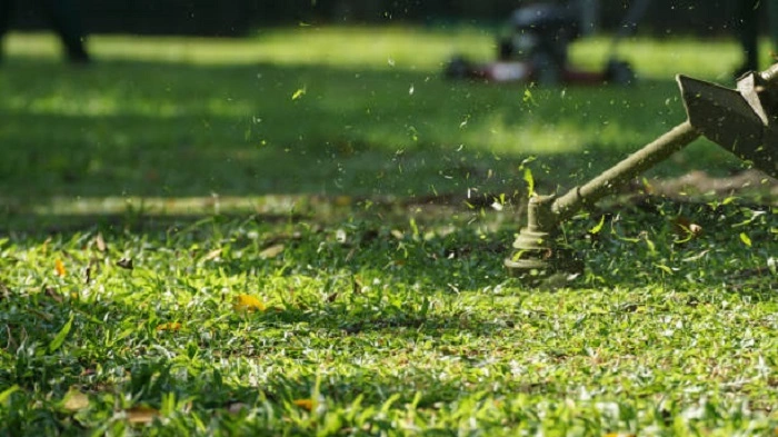 image of mowing grass and weeds