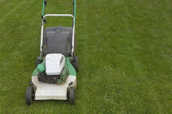 image of mowing st augustine grass lawn