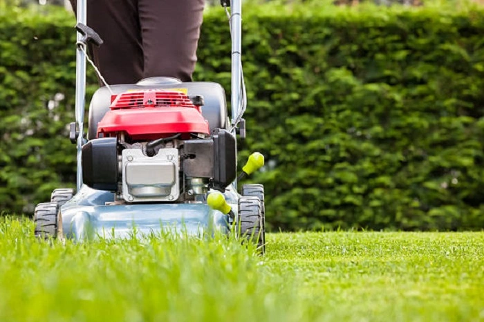 image of mowing newly grown grass