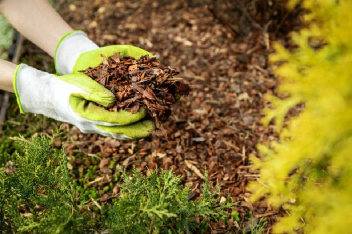 image of mulching