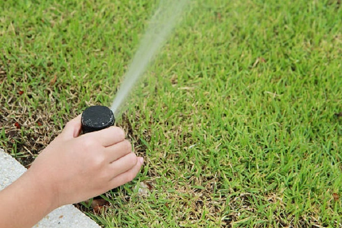 image of watering st augustine grass 