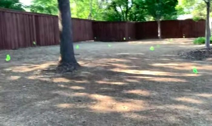 image of lawn free from grass and weeds