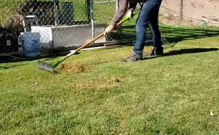 image of thatch removal from centipede grass
