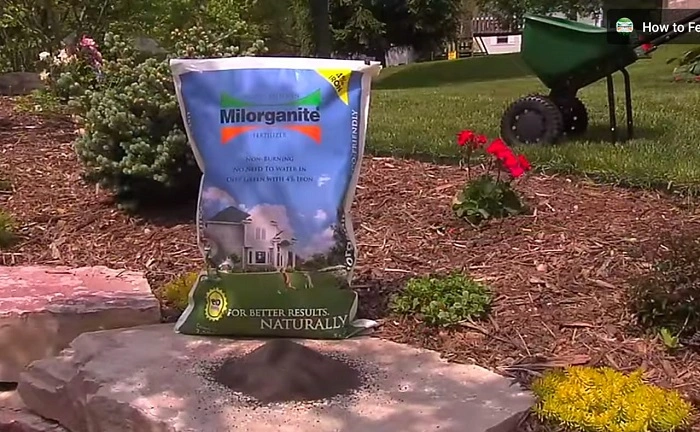 image of essential fertilizer 